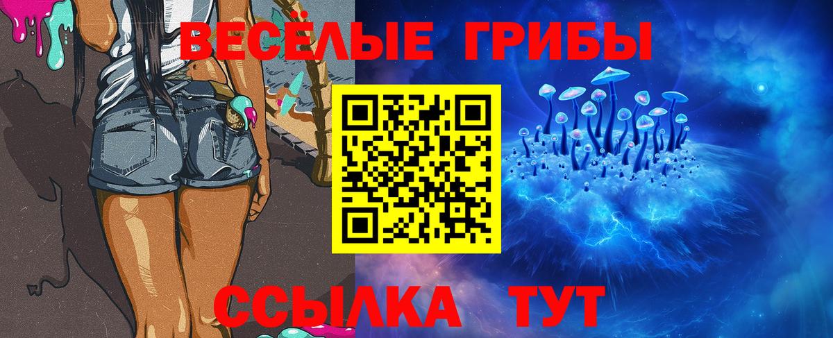 Псилоцибиновые грибы мухоморы Камень-на-Оби
