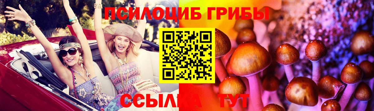 Камень-на-Оби  Галлюциногенные грибы Cubensis  Вход с VPN 